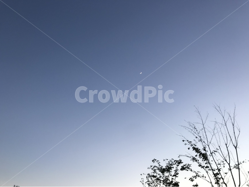 sky,하늘,파란하늘,blue,나무,tree,자연,풍경,nature,landscape,outdoors,옥외