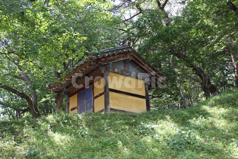 한국,안동,봉정사,사찰,학술,건축,korea,andong,bongjeongsa,temple,academic,architecture,한국전통,한국문화,korean traditional,korean culture,건축물,건물외관,exterior,building,structure,architecture,construction