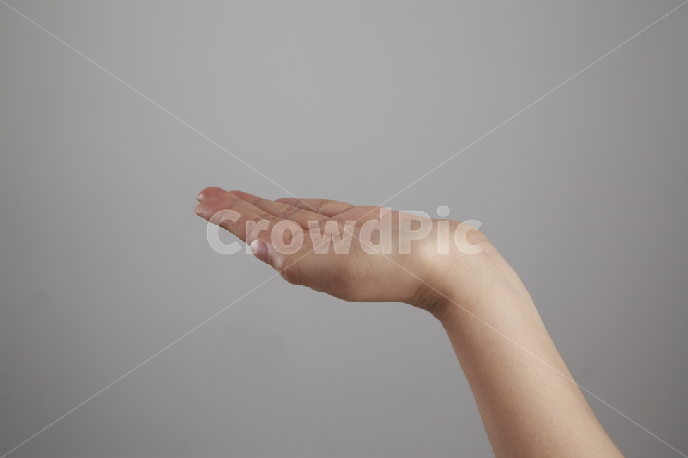 손각도,손,손모양,손가락,팔,왼손,손바닥,신체일부,손짓,표현,받침,사람,연출,컨셉,콘셉,동양인,human,person,body,hand,sign,expression,신체일부,몸,body,손,제스처,표시,손짓,표현,gesture,hand,sign,expression