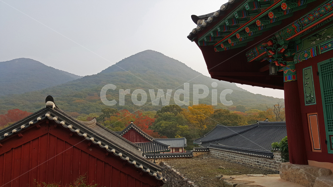 절,선운사,산사,한옥,사원,풍경,산,지붕,기와,temple