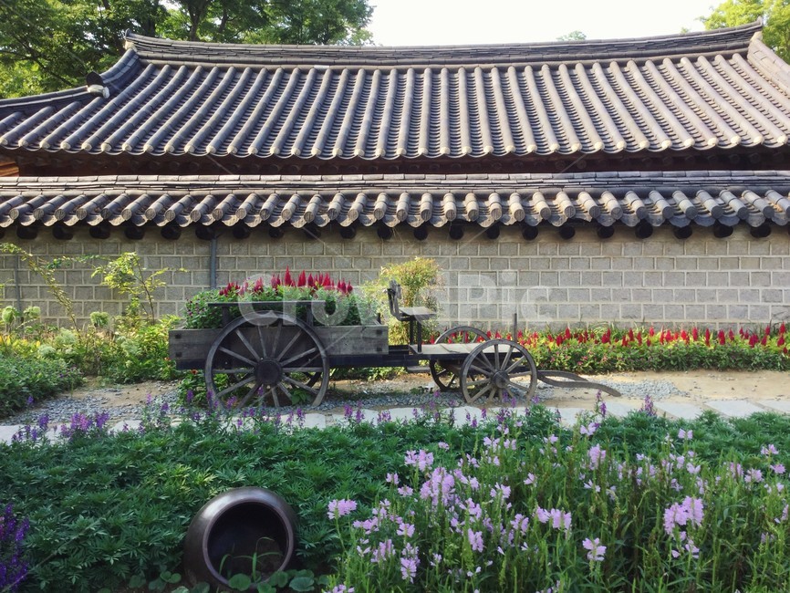 담장,기와,전통,야외,정원,wall,background,배경,한옥,꽃마차,마차,garden,역사,문화,돌담,한국전통,한국문화,korean traditional,korean culture,건축물,건물외관,exterior,building,structure,architecture,construction
