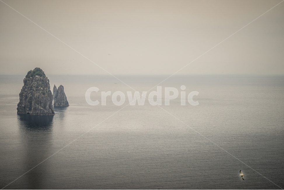 ㅇ,대한민국,경상북도,울릉군,울릉도,전경,섬,자연,풍경,nature,landscape,한국자연풍경,한국자연경관,korea nature landscape,흑백,모노톤,monochrome,black and white,cliff,낭떠러지,outdoors,옥외,promontory,곶