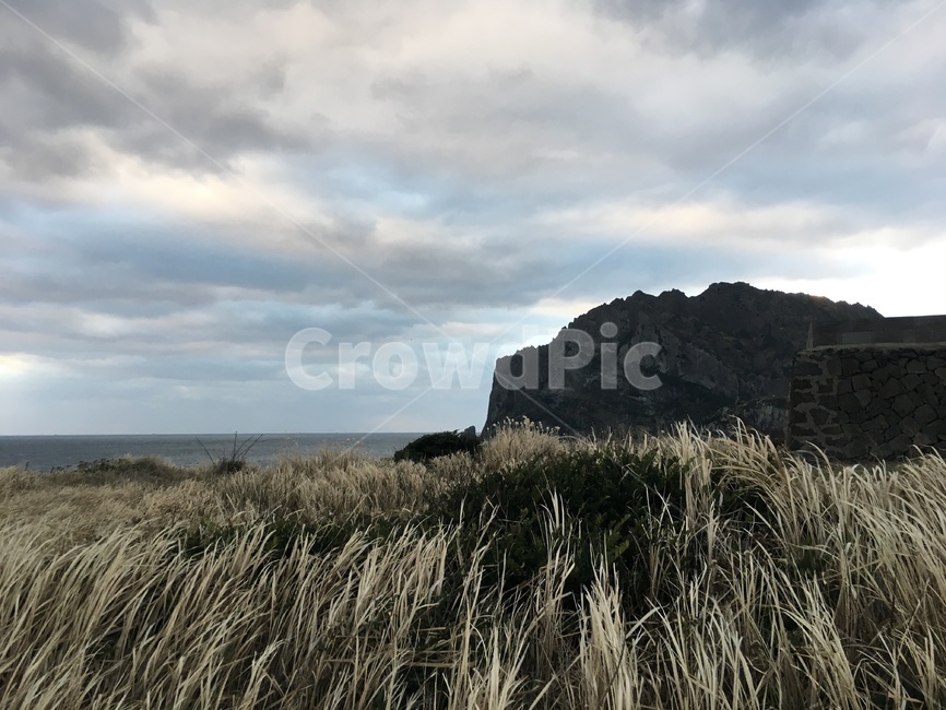성산일출봉,갈대,풍경,nature,바다,제주도,자연,풍경,nature,landscape