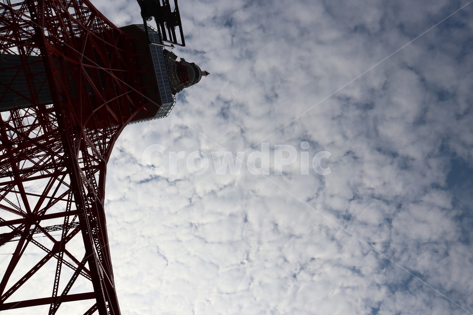 건축물,tower,탑,building,건물,뾰족한탑,첨탑,도쿄,일본,도쿄타워,tokyo,japan,tokyotower,가을,랜드마크,landmark,tourist attraction,해외,외국,세계,foreign,oversea,world,세계랜드마크,해외랜드마크,외국랜드마크,world landmark,world tourist attraction,건축물,건물외관,exterior,building,structure,architecture,construction