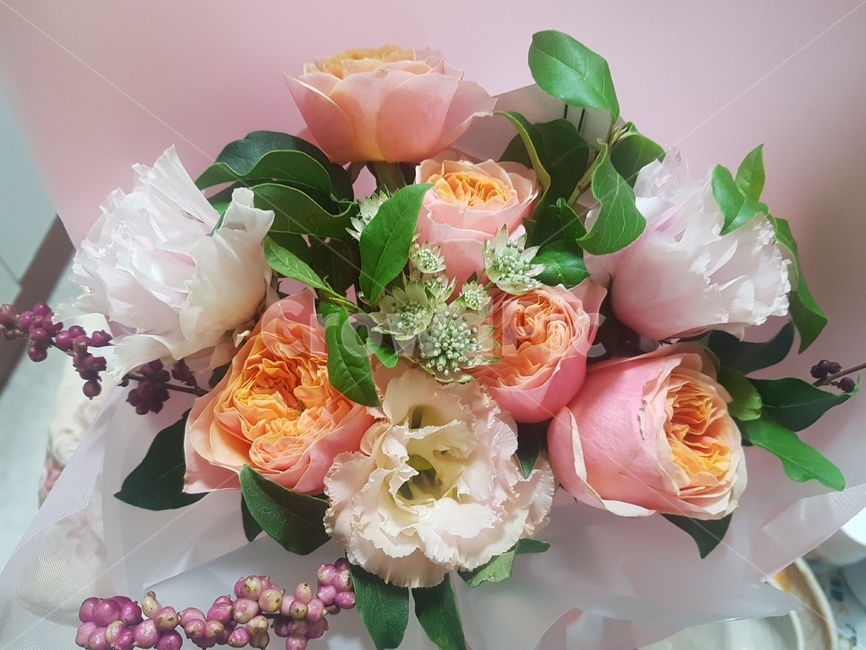 flower,꽃,꽃부케,blossom,flowerbouquet