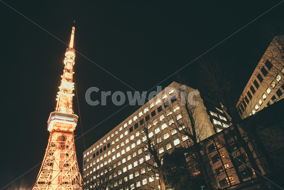 도쿄,도쿄타워,랜드마크,일본,야경,tokyo,japan,nightscape,야경,밤,풍경,nightscape,night,landscape,랜드마크,landmark,tourist attraction,해외,외국,세계,foreign,oversea,world,세계랜드마크,해외랜드마크,외국랜드마크,world landmark,world tourist attraction,건축물,건물외관,exterior,building,structure,architecture,construction,tower,탑,spire,첨탑,steeple,뾰족한 탑,건물,town,도시,city,시티,urban,어반,downtown,도심,metropolis,중심지