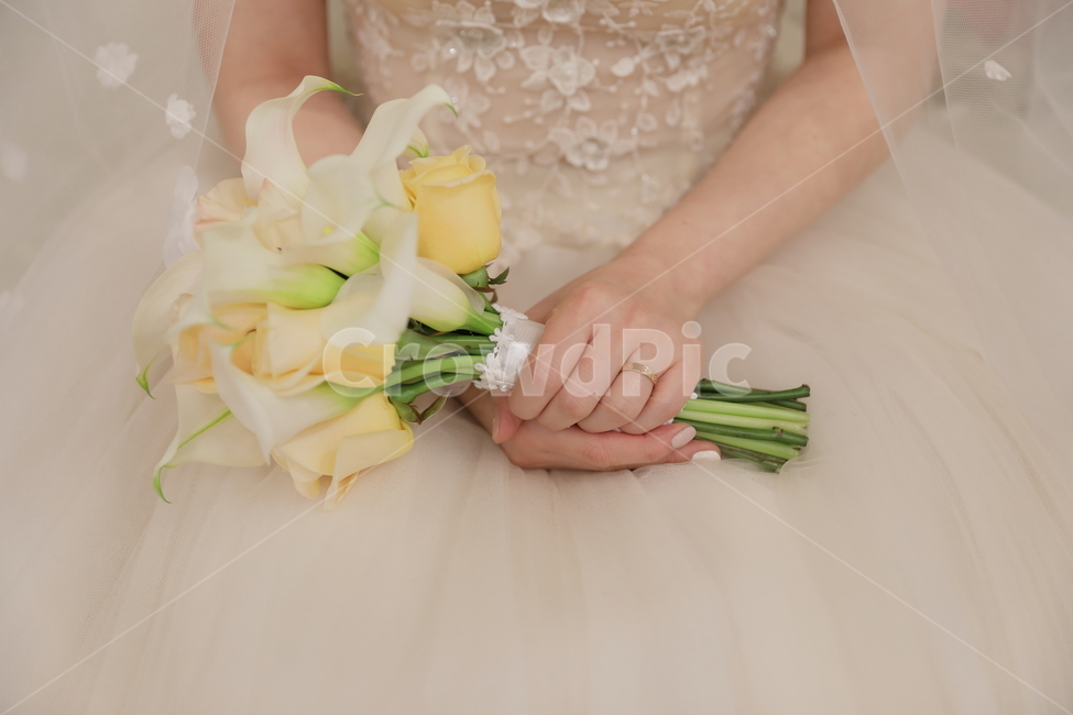 부케,웨딩,결혼,결혼반지,신부,웨딩드레스,웨딩부케,순백,카라,장미,손,반지,사람,인물,인간,human,person,여성,여자,woman,female,lady,결혼,혼례,웨딩,wedding,marriage,marry