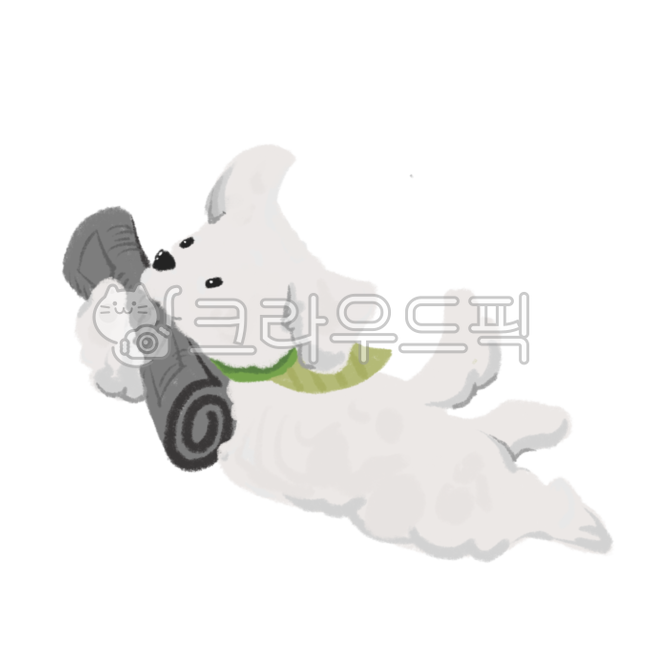 강아지,반려견,펫,동물,아기강아지,반려,개,말티즈