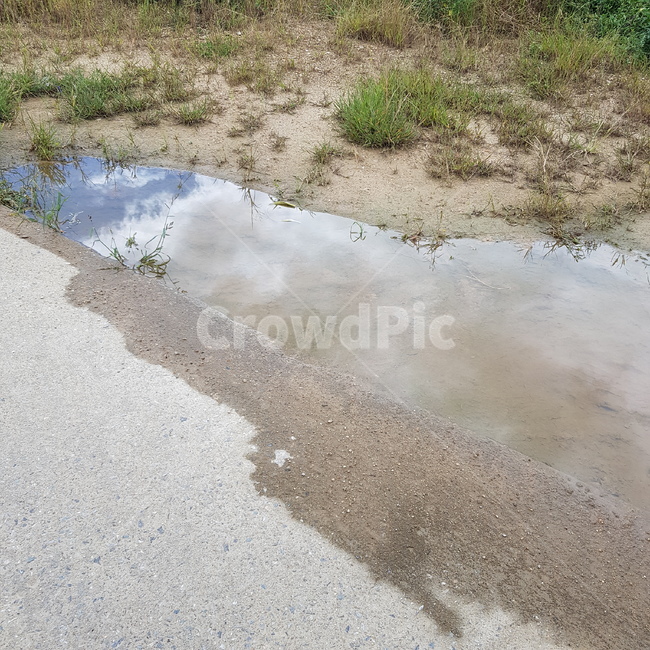 puddle,sky,rain,nature,autumn rain,pool,see through,autumn,walk,Sky of Autumn