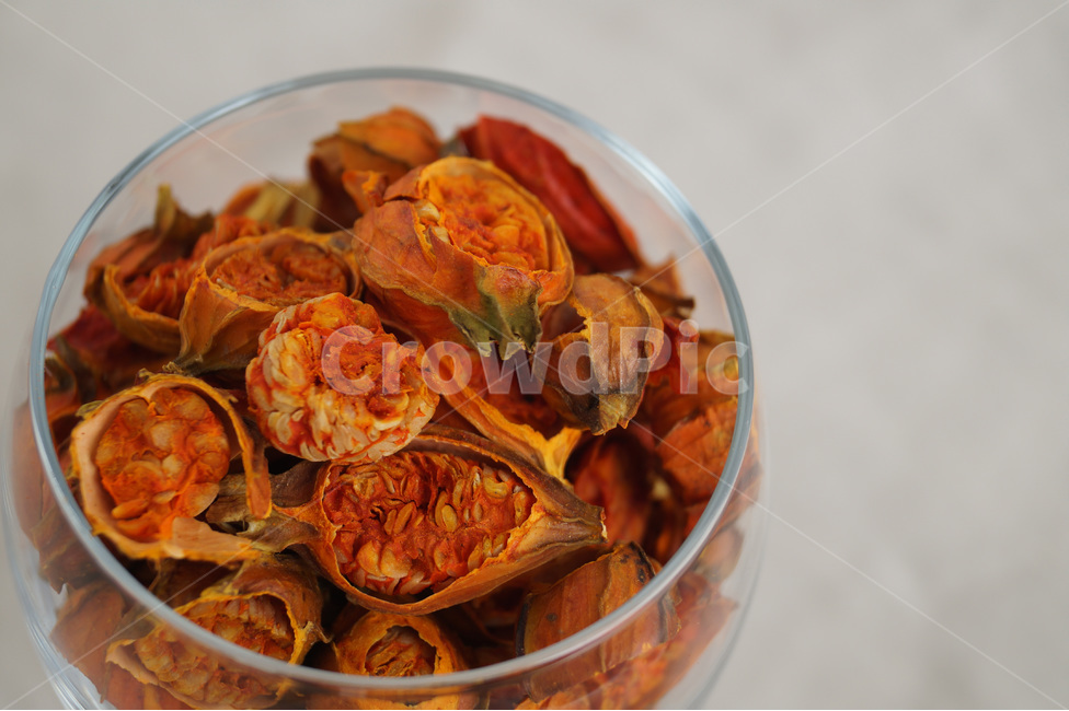 치자,치자물,염색,열매,자연,식물,orange,gardenia,배경,나무,꽃,과일,열매,fruit