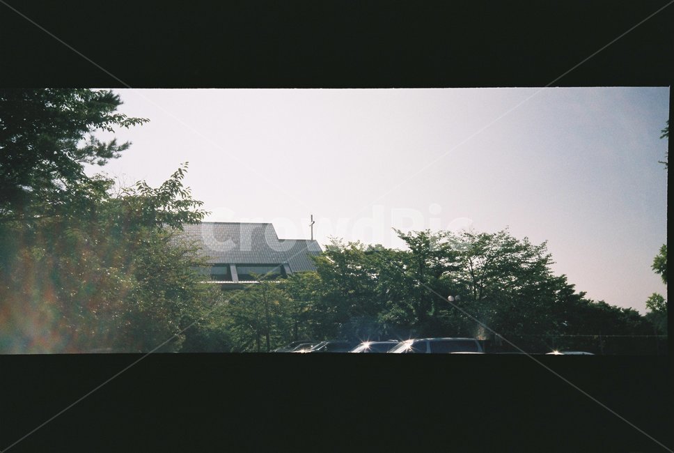 plant,식물,tree,나무,교회,십자가,노을,파노라마,자연