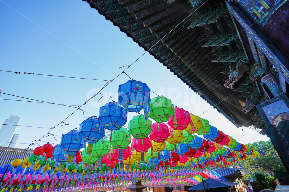봉은사,불교,절,사찰,템플,기와,풍경,연등,한국전통,한국문화,korean traditional,korean culture,종교,신앙,religion,belief,faith