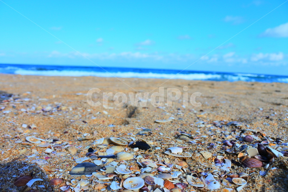 바닷가,파도,조개,하늘,풍경,해변,바다,beach,sea