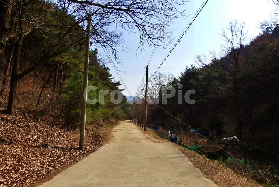동네뒷산,뒷산,나무,산,산행,산길,자연,풍경,nature,landscape,dirt road,흙길,road,도로,gravel,자갈,path,통로
