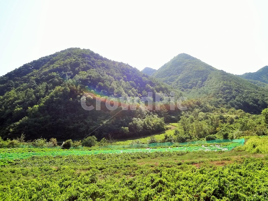자연,무지개,산,자연풍경,농촌풍경,자연,풍경,nature,landscape,outdoors,옥외,hill,언덕