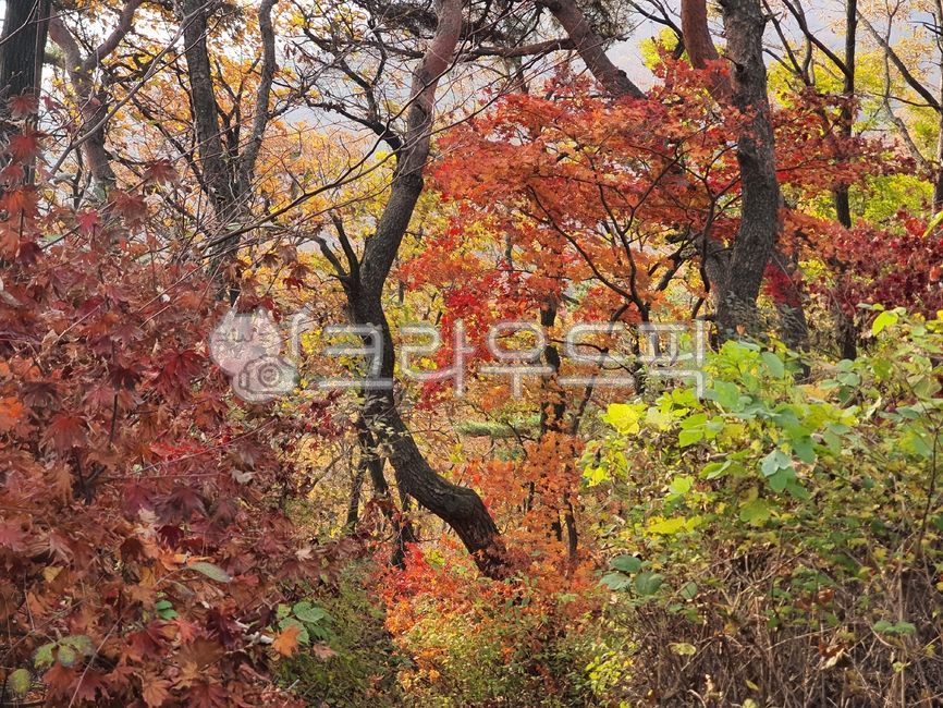 산, 자연, 등산, 언덕, 가을, 사진,이미지,일러스트,캘리그라피 - ohjingoh작가