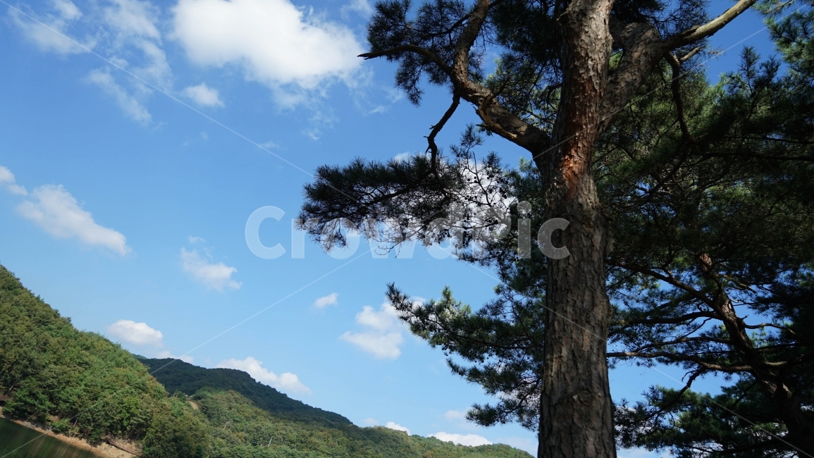 여행,등산,하늘,나무,산,식물,자연,plants,nature,나무,trees,wood