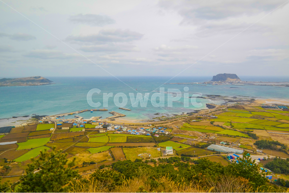 오름,바다,제주풍경,배경,밭담,제주도,감성,자연,풍경,nature,landscape,한국자연풍경,한국자연경관,korea nature landscape,시골,마을,country,rural,town,land,땅,outdoors,옥외,ocean,대양,sea,water,물,shoreline,해안선,scenery,경치,coast,연안
