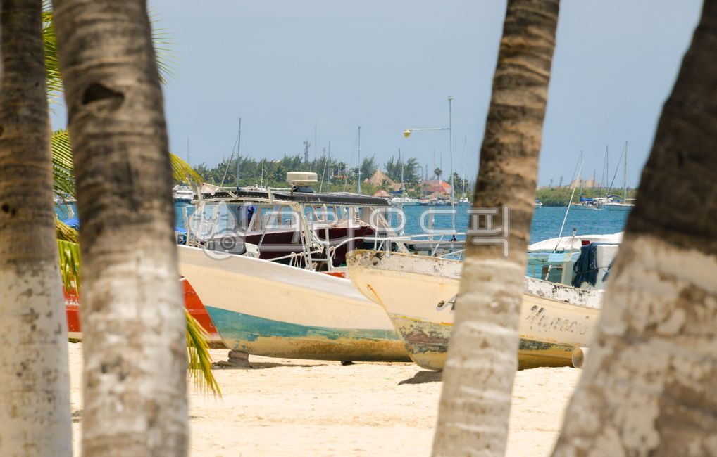 Harbor,tree,harbor,watercraft,water,summer,transportation,tropical,palm tree,ocean,cancun,transit,waterfront,Mexico,Ship