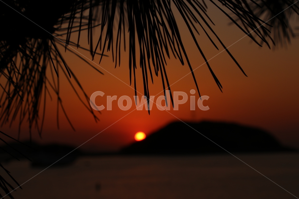 일몰,낙조,당진,도비도항,sunset,왜목마을