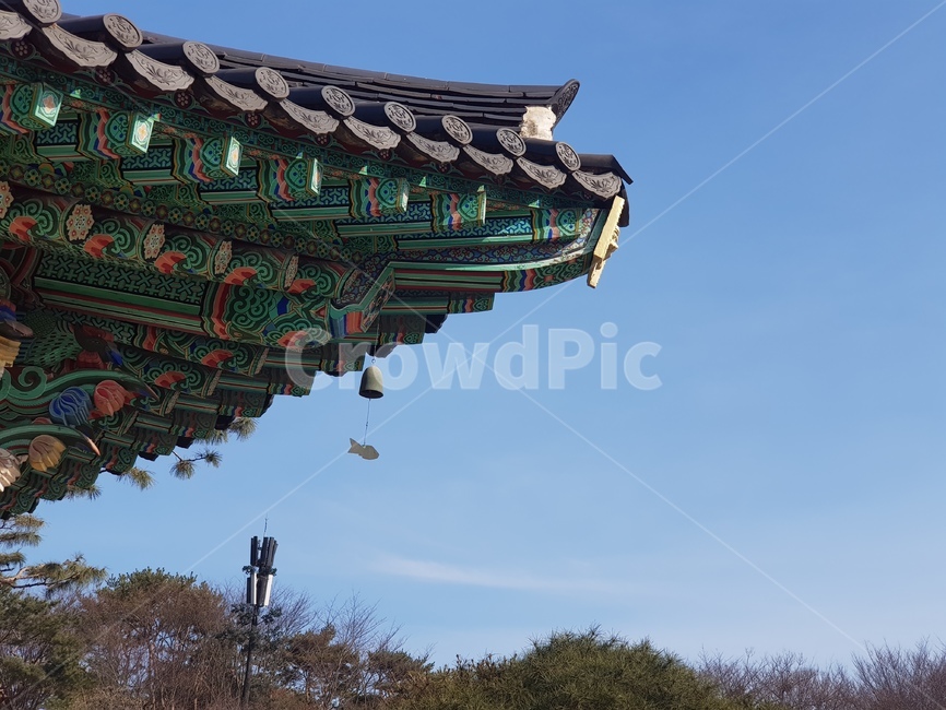 풍경,처마,한국,단청,불교
