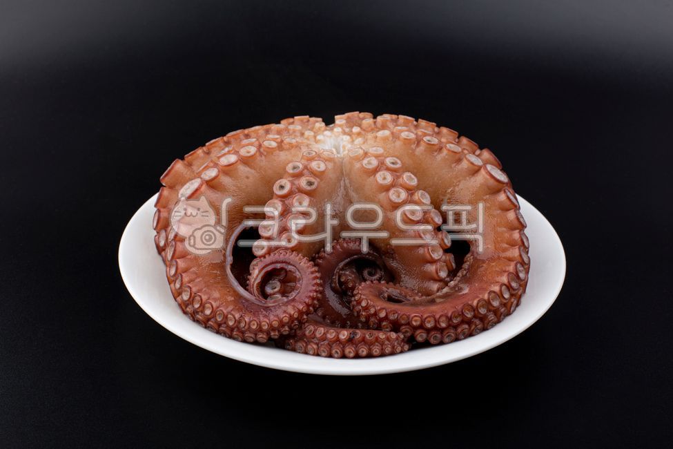 문어, 돌문어, 자숙문어, 삶은문어, 해산물, 사진,이미지,일러스트,캘리그라피 - natsu u작가