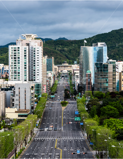 서울,도심,풍경,하늘,건축물,도로,한국,도시,풍경,city,landscape,한국도시풍경,한국도시경관,korea cityscape,교통,교통수단,traffic,transportation,건축물,건물외관,exterior,building,structure,architecture,construction,road,intersection,교차로