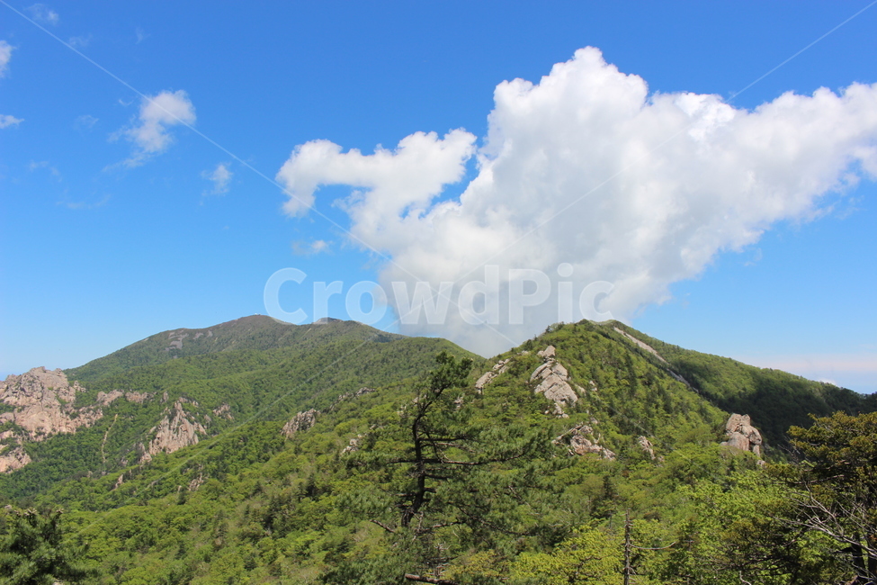 nature,자연,countryside,mountain,cloud,bluesky,green,climb,tree,나무,초록,설악산,등산,산,구름,파란하늘,자연,풍경,nature,landscape