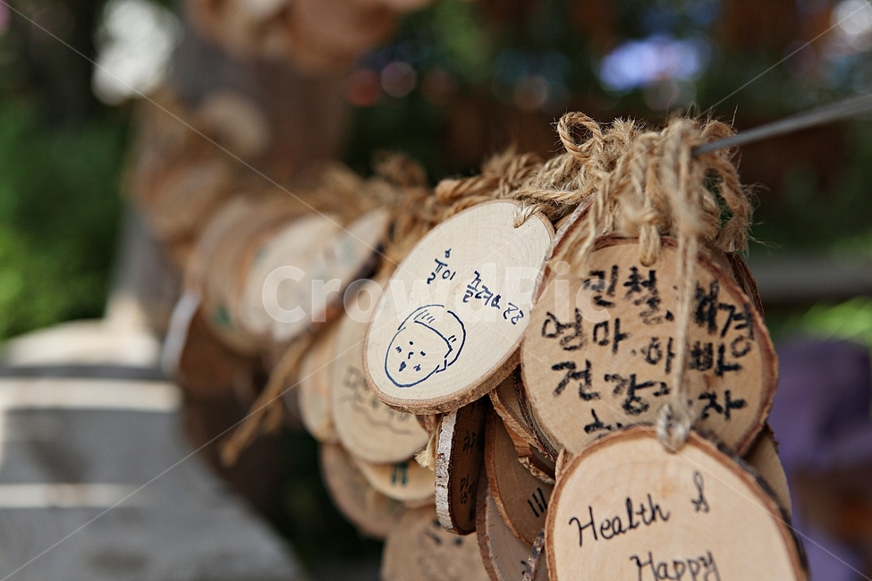 나무,원형나무,끈,소원,글씨,조각