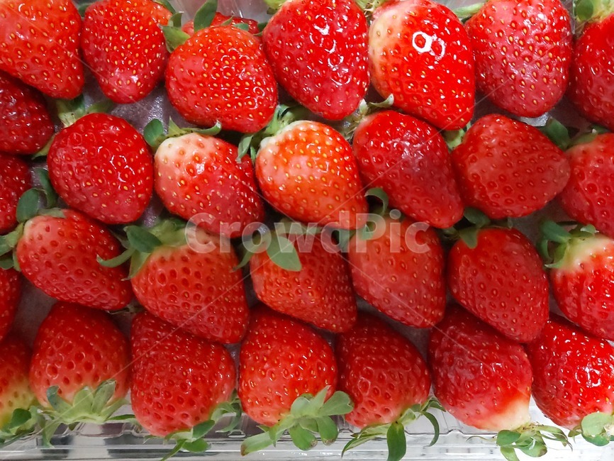 딸기,음식,strawberry,과일,fruit,음식,식재료,요리,food,cook,meal,dishes,food reserves,과일,열매,fruit