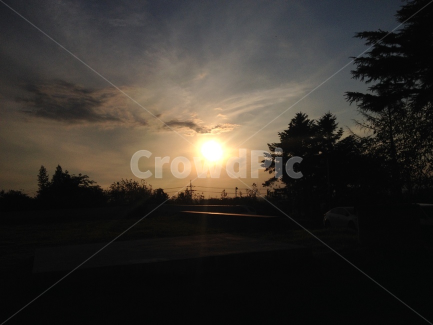 빛,light,햇빛,sunlight,nature,자연,풍경,nature,landscape,outdoors,옥외,flare,플레어