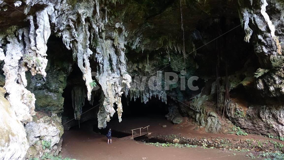 자연,nature,cave,grotto,동굴,초록,green,오르텐스,오르텐스동굴,뉴칼레도니아