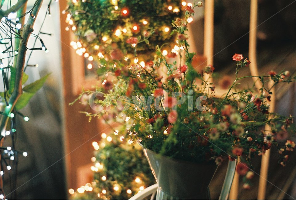 조화,꽃,인테리어,장식,감성사진,필름사진,식물,자연,plants,nature,꽃,flower,감성,sensible,feeling