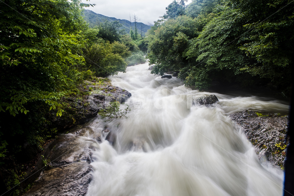 물,자연,흐름,water,계곡,폭우,outdoors,자연,풍경,nature,landscape,옥외,stream,creek,작은 만