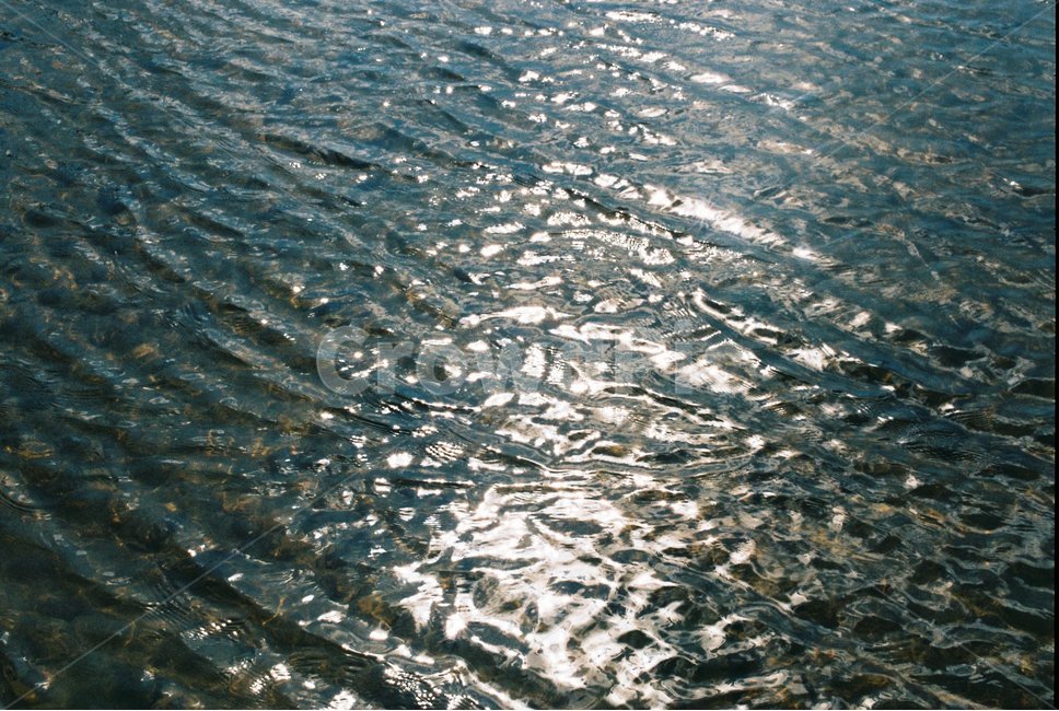 윤슬,호수,햇살,물결,강,필름,필름카메라,film,filmphotography,자연,풍경,nature,landscape,water,물,outdoors,옥외