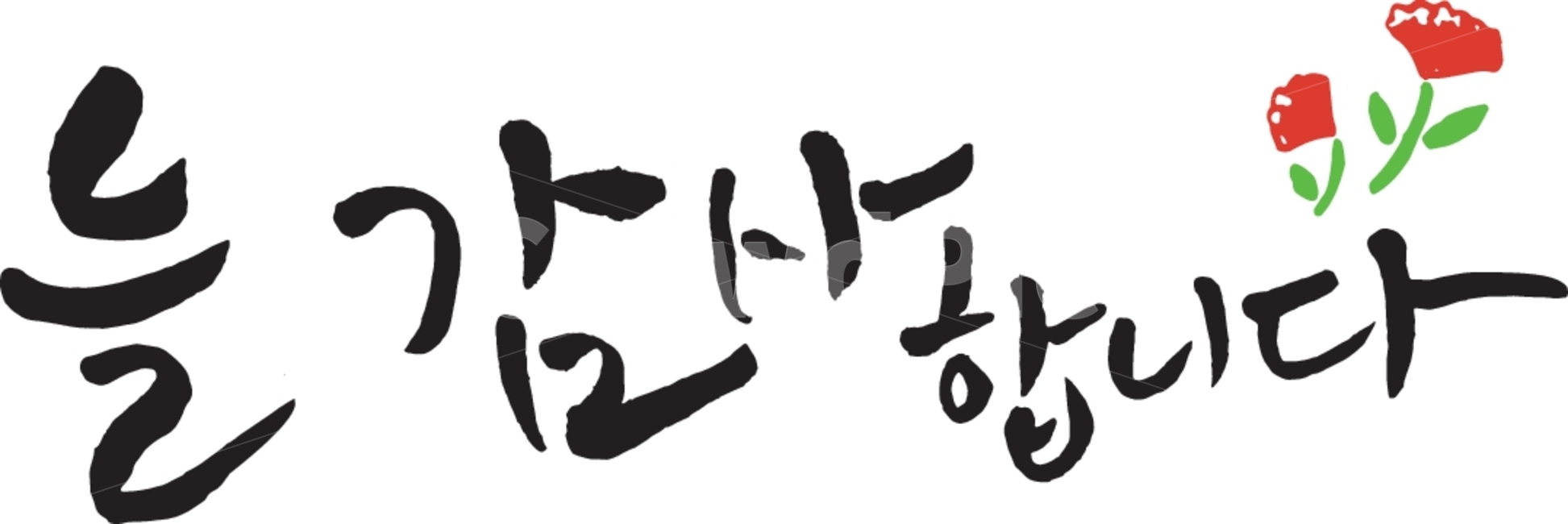 어린이날,가정의달,어린이,family,가족,캘리,가정의달이미지공모전,5월,일러스트,가정,감사,사랑,카네이션,어버이날,스승의날,캘리그라피,손글씨,calligraphy