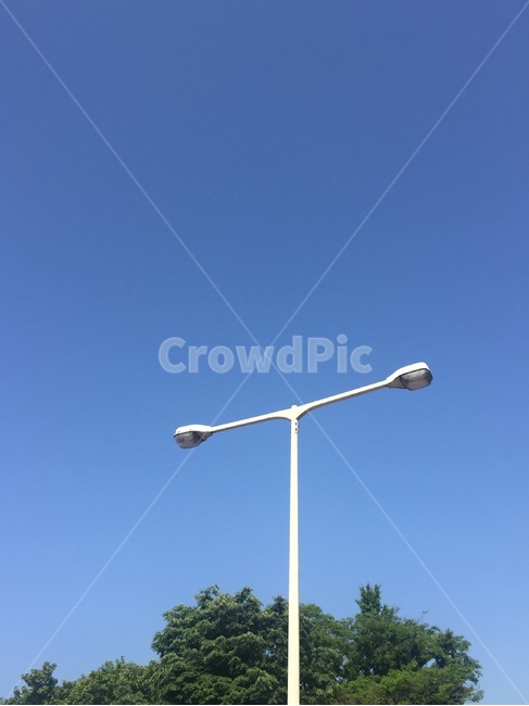 나무,하늘,식물,감성사진,풍경,풍경사진,하늘색,배경화면,자연,풍경,nature,landscape,lamp post,램프 포스트