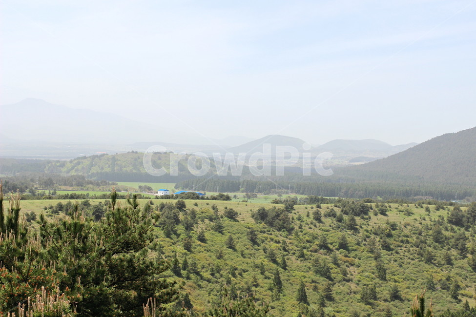 꽃,봄,하늘,오름,제주,자연,풍경,nature,landscape,outdoors,옥외