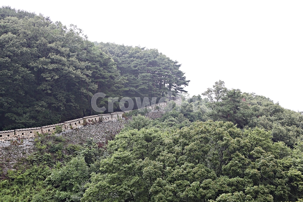 남한산성,성,성곽,숲,숲길,길,둘레길,벽,담,돌담,풍경,여름