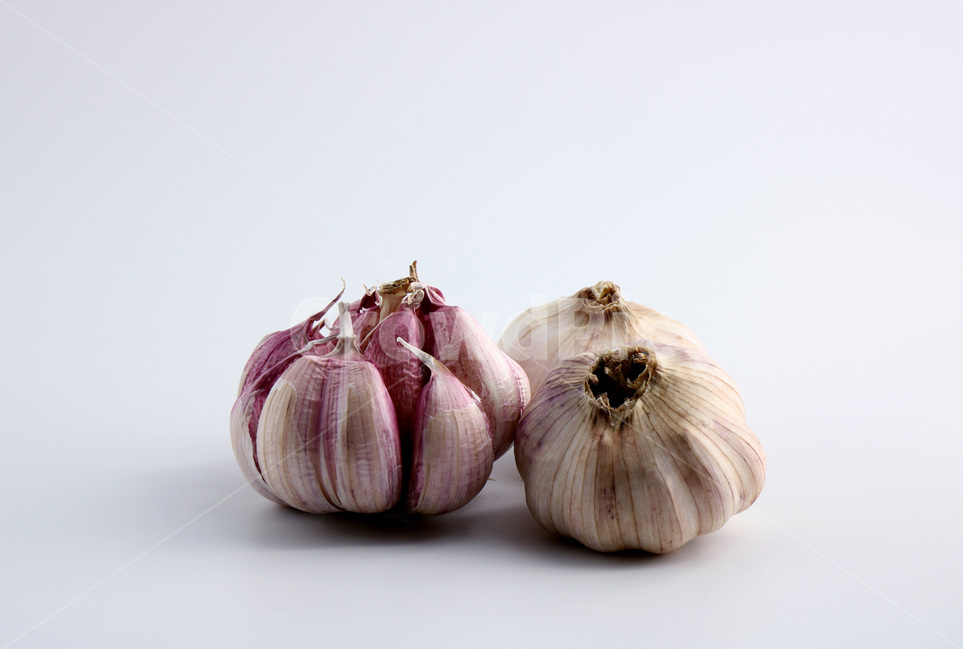 사진,누끼,마늘,야채,채소,햇마늘,육쪽마늘,갈릭,통마늘,재료,식자재,garlic,wholegarlic,vegetable,food,음식,식재료,요리,food,cook,meal,dishes,food reserves,채소,야채,vegetables,누끼,remove background