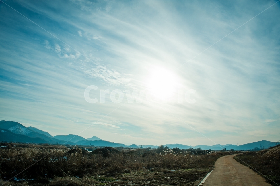 초겨울,들판,갈대,길,강변,풍경,겨울,계절,winter,season,자연,풍경,nature,landscape,한국자연풍경,한국자연경관,korea nature landscape,road,도로,outdoors,옥외