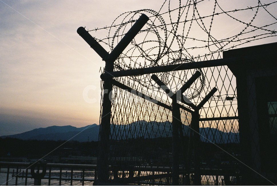 철조망,대포항,속초,바닷가,바다,필름사진