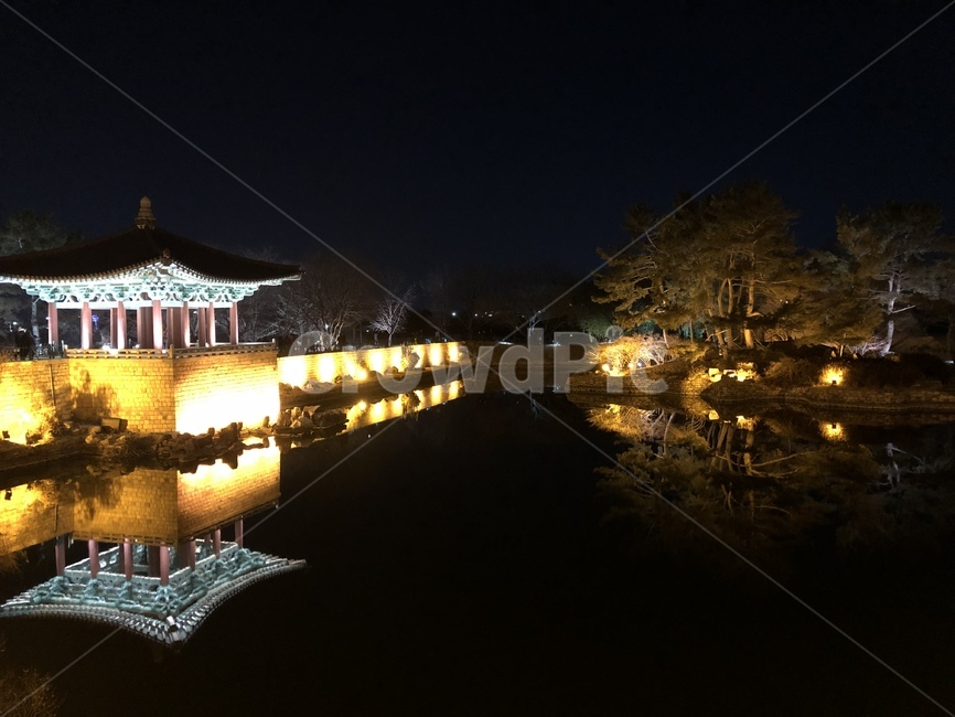 경주,동궁과월지,역사,안압지,여간,야경,밤,풍경,nightscape,night,landscape,한국전통,한국문화,korean traditional,korean culture,랜드마크,landmark,tourist attraction,한국랜드마크,한국관광지,한국명소,korea landmark,korea tourist attraction
