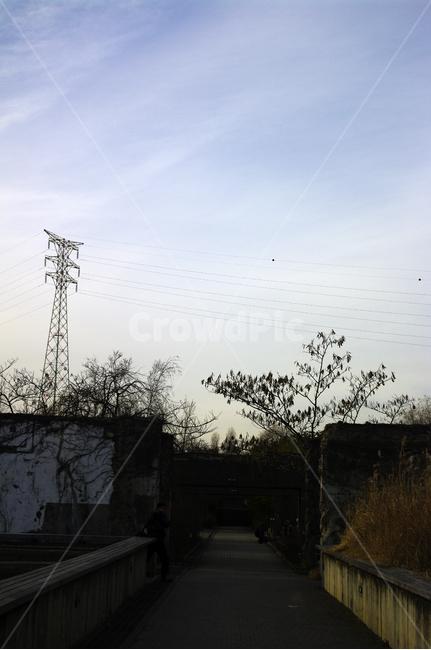 겨울,나무,공원,식물,plant,구름,하늘,자연,풍경,nature,landscape,cable,케이블,electric transmission tower,송전탑,power lines,전력선