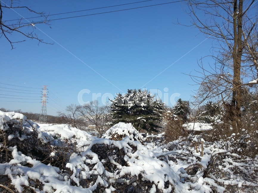 눈,겨울산,설경,겨울,추위,날씨,겨울,계절,winter,season