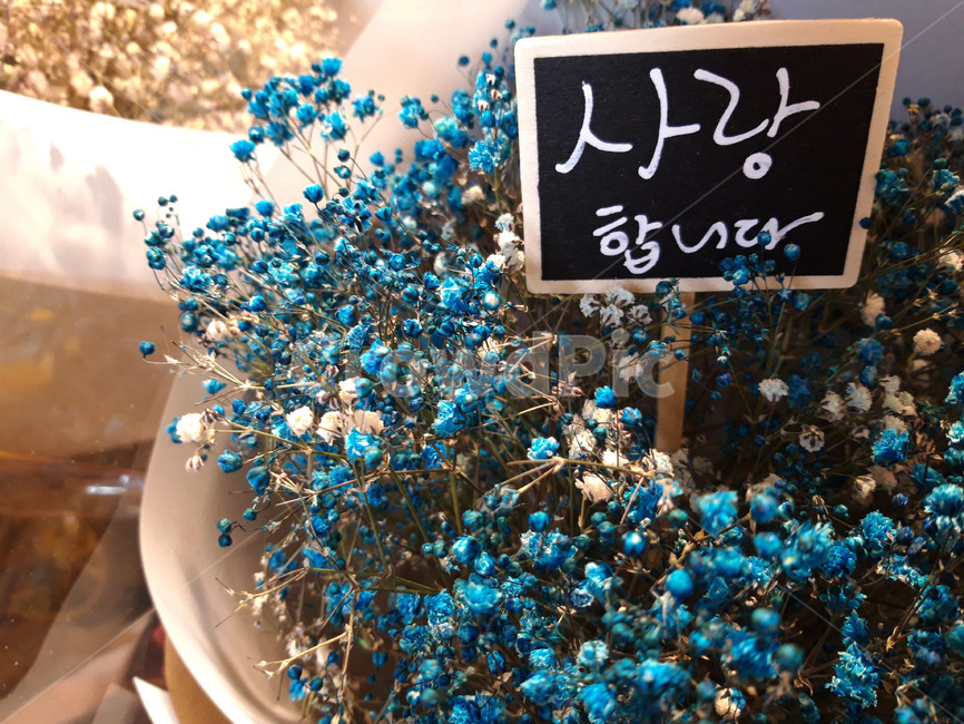 사랑합니다,사랑,꽃,꽃다발,러브,감사,인테리어,장식,표현,마음,선물,감성,감정,love,flower,bouquetofflowers,sensibility,emotion,expression,heart,presents,decorations,꽃,flower,감정표현,기분,feeling,emotion