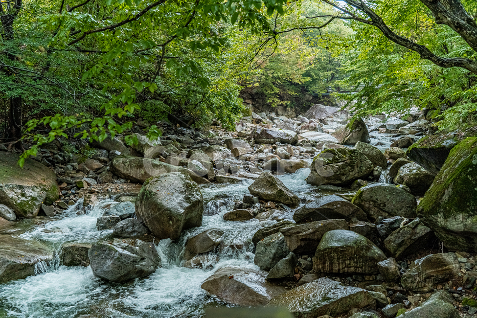 water,물,nature,자연,outdoors,옥외,stream,흐름,계곡,해인사,자연,풍경,nature,landscape,creek,작은 만