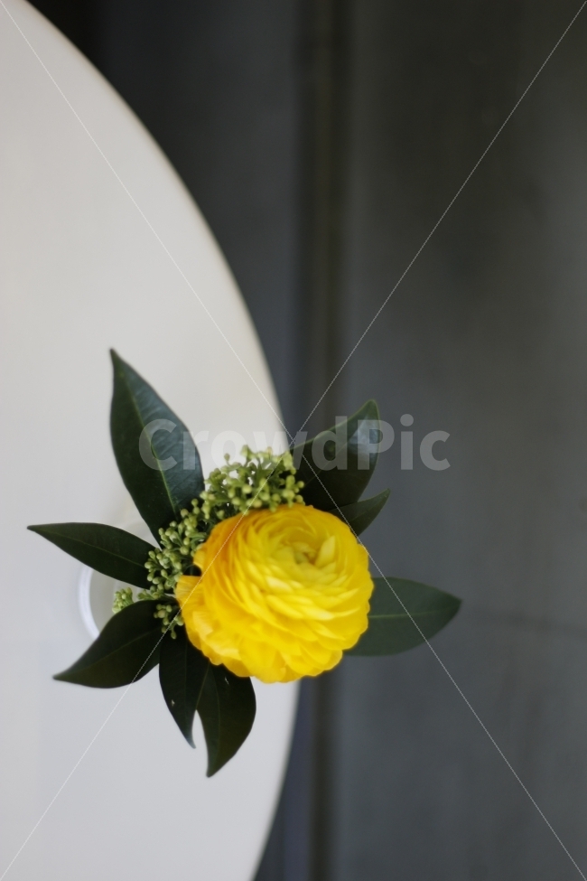 꽃,식물,카페,테이블,인테리어,탁자,감성,봄,flower,plant,cafe,interior,table,spring,blooming,warm,식물,자연,plants,nature,꽃,flower
