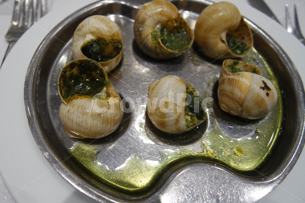 달팽이,에스카르고스,프랑스,프랑스음식,france,food