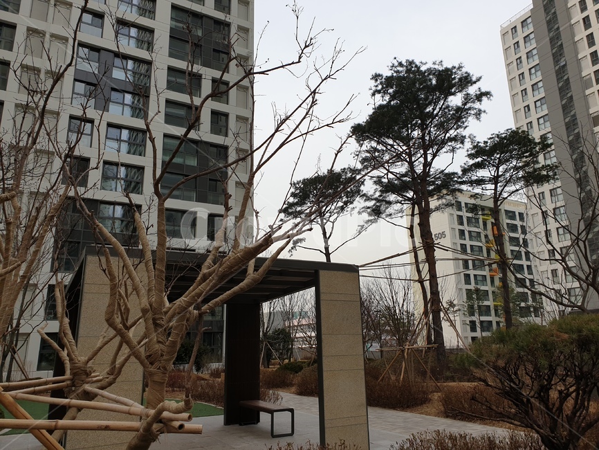 헬리오시티,늦은오후,오후,아파트,도심,도시,풍경,city,landscape,한국도시풍경,한국도시경관,korea cityscape